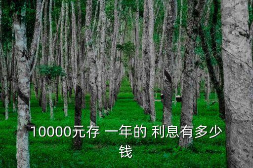 一萬死期利息一年多少利息是多少錢,一萬四千元存銀行一年多少利息