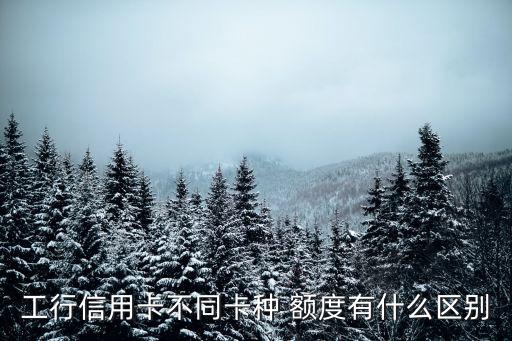 工行信用卡不同卡種 額度有什么區(qū)別