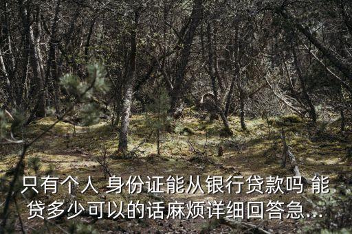 只有個人 身份證能從銀行貸款嗎 能貸多少可以的話麻煩詳細(xì)回答急...