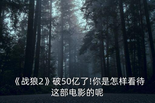 戰(zhàn)狼二投資多少,拍攝戰(zhàn)狼1投資了多少錢