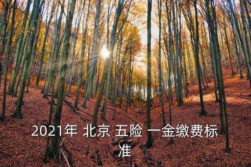 2021年 北京 五險 一金繳費標(biāo)準(zhǔn)