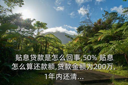 貼息貸利率多少錢,貸個人的錢利率最高是多少