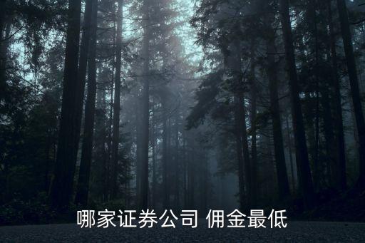 哪家證券公司 傭金最低