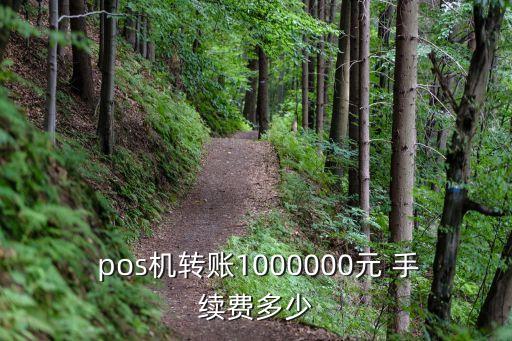  pos機(jī)轉(zhuǎn)賬1000000元 手續(xù)費(fèi)多少