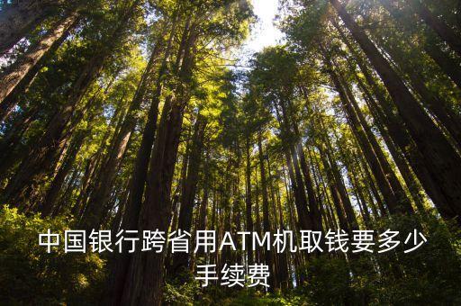 2015中國銀行取款手續(xù)費是多少,中國銀行在農(nóng)村信用社取款手續(xù)費