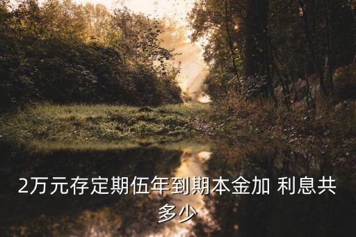 2萬元存定期伍年到期本金加 利息共多少
