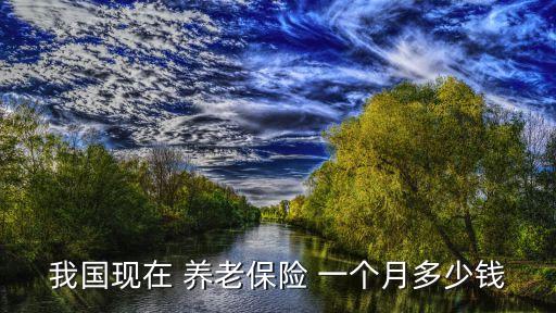 我國現(xiàn)在 養(yǎng)老保險 一個月多少錢