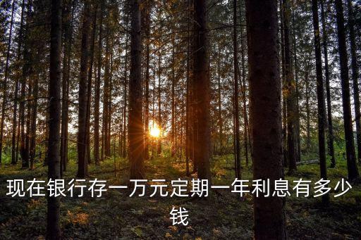 現(xiàn)在銀行存一萬元定期一年利息有多少錢