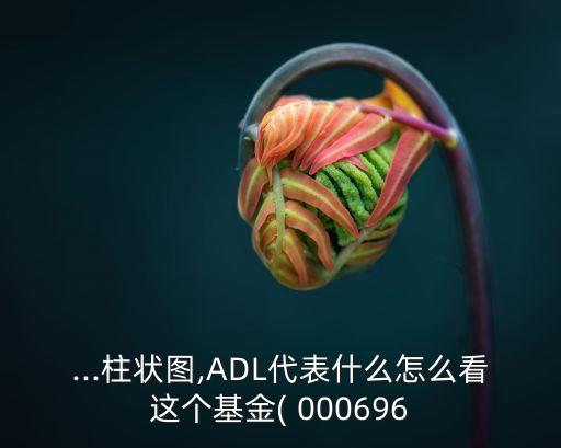 000696的凈值是多少,匯添富000696基金凈值