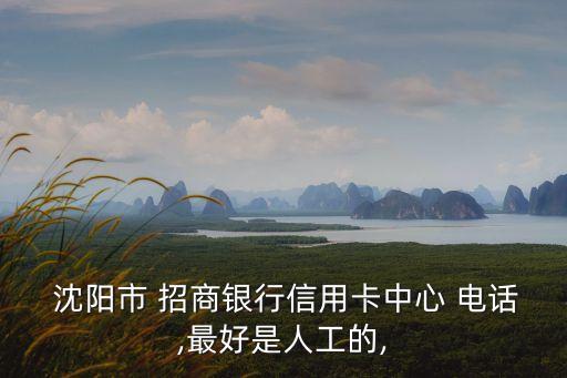  沈陽(yáng)市 招商銀行信用卡中心 電話,最好是人工的,