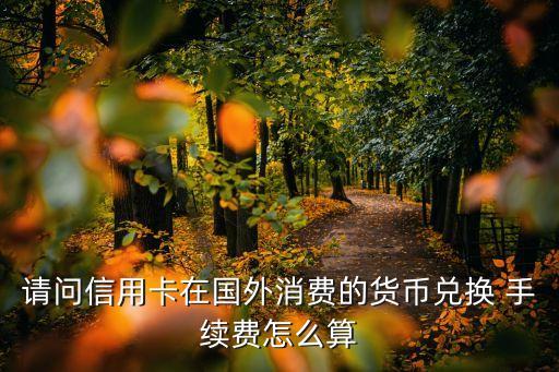 請(qǐng)問(wèn)信用卡在國(guó)外消費(fèi)的貨幣兌換 手續(xù)費(fèi)怎么算