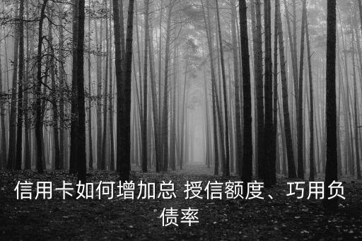 信用卡如何增加總 授信額度、巧用負債率
