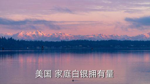 美國(guó) 家庭白銀擁有量