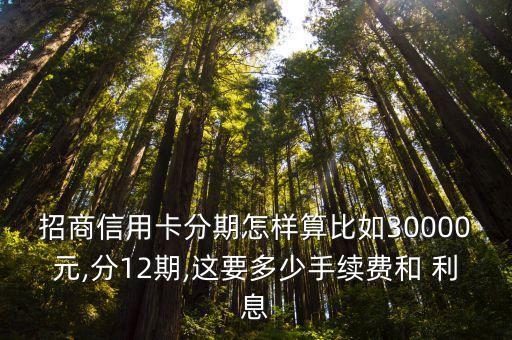 招行賬單分期利息多少,招行汽車分期利息高不高