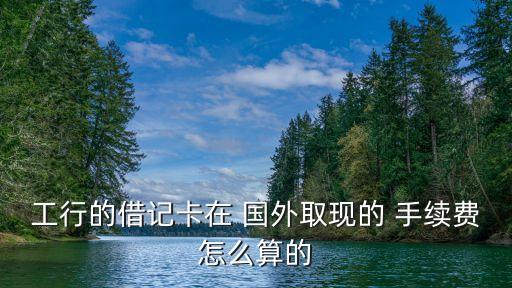 國(guó)外儲(chǔ)蓄卡取錢手續(xù)費(fèi)是多少,儲(chǔ)蓄卡異地取錢要手續(xù)費(fèi)嗎