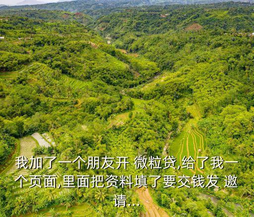 微粒貸的邀請(qǐng)碼是多少,微信微粒貸邀請(qǐng)碼如何獲得
