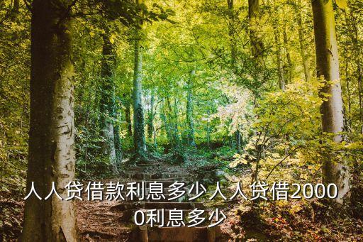 人人貸借款利息多少人人貸借20000利息多少