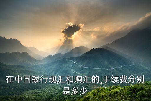 賬戶外匯 匯款手續(xù)費多少,公司外匯匯入?yún)R款目前暫不收取手續(xù)費