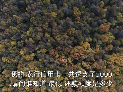 我的 農(nóng)行信用卡一共透支了5000,請問誰知道 最低 還款額度是多少
