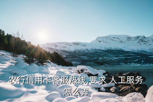 農(nóng)行信用卡客服熱線,要求 人工服務(wù)怎么弄