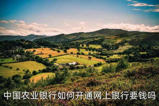 農(nóng)行網(wǎng)銀辦理多少錢,農(nóng)行辦理企業(yè)網(wǎng)銀需要什么資料