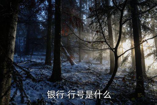  銀行 行號是什么