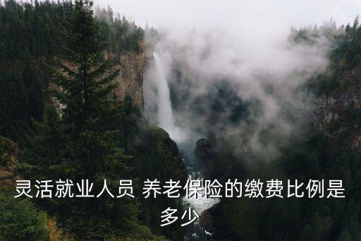 個(gè)人交養(yǎng)老保險(xiǎn)應(yīng)交百分之多少,個(gè)人繳納養(yǎng)老保險(xiǎn)怎么交
