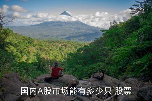 兩市共有多少支股票,基金共有多少支