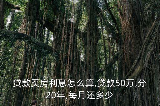 50萬分20年一年還多少