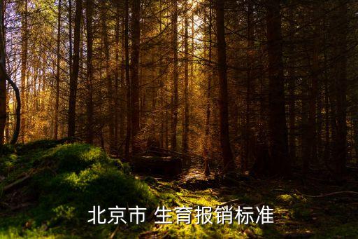 北京生育保險(xiǎn)報(bào)多少,北京男方生育保險(xiǎn)能報(bào)多少錢