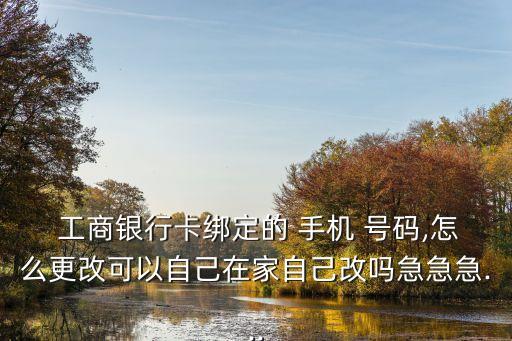  工商銀行卡綁定的 手機(jī) 號碼,怎么更改可以自己在家自己改嗎急急急...