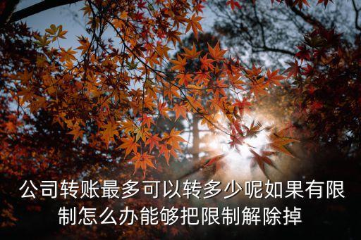  公司轉(zhuǎn)賬最多可以轉(zhuǎn)多少呢如果有限制怎么辦能夠把限制解除掉