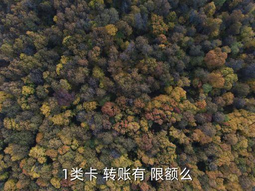 一類卡轉(zhuǎn)賬限額多少,農(nóng)業(yè)銀行一類卡轉(zhuǎn)賬限額多少