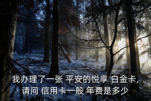 平安信用卡 白金 年費(fèi)是多少錢(qián),平安白金信用卡年費(fèi)600