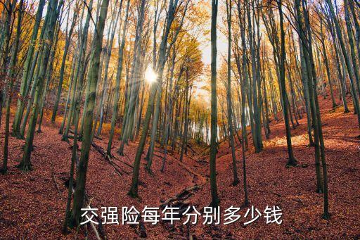現(xiàn)在交強險多少錢一年多少錢,2.0t交強險一年多少錢