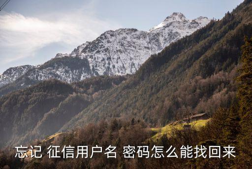 征信重置后密碼是多少,征信中心重置密碼以后是多少