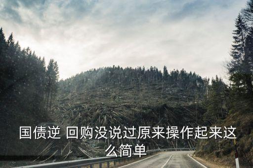 國債逆回購代碼是多少,滬市國債逆回購代碼