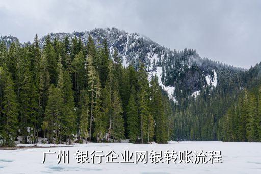 廣州銀行登入app密碼是多少位,廣州農(nóng)商銀行app密碼鎖定怎么解