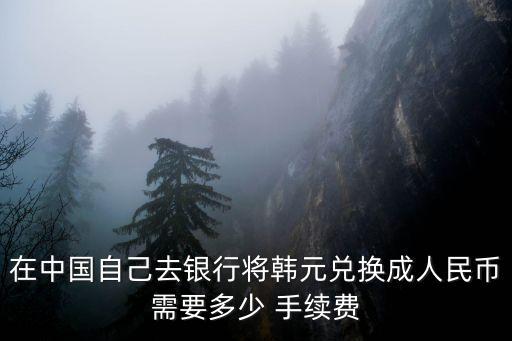 在中國(guó)自己去銀行將韓元兌換成人民幣需要多少 手續(xù)費(fèi)