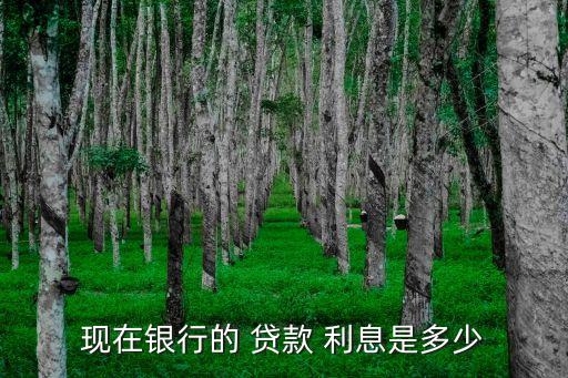 外面貸款一般利息多少,貸款60萬30年利息多少