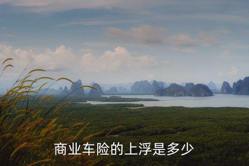 商業(yè)車險的上浮是多少