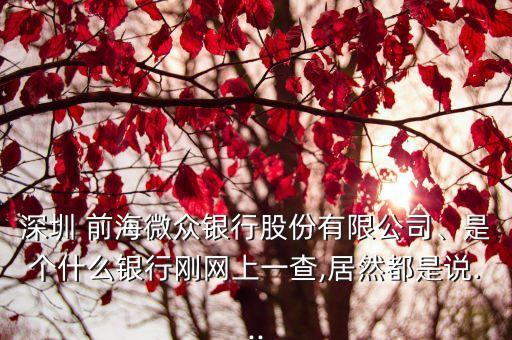 前海征信多少分,深圳前海征信中心股份有限公司