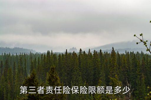 第三者責(zé)任險(xiǎn)保險(xiǎn)限額是多少