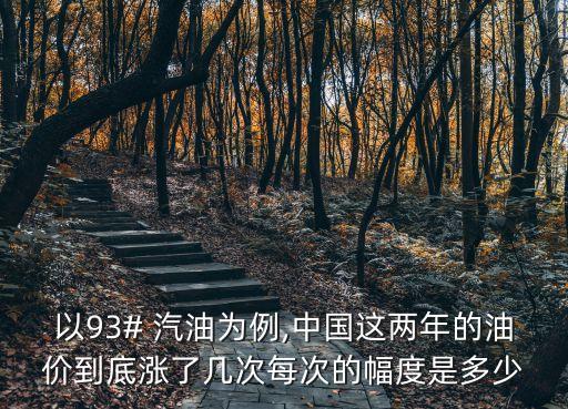 以93# 汽油為例,中國(guó)這兩年的油價(jià)到底漲了幾次每次的幅度是多少