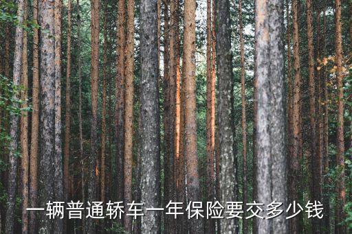 一輛普通轎車一年保險要交多少錢