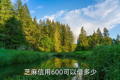  芝麻信用600可以借多少