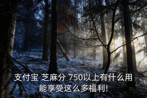 支付寶 芝麻分 750以上有什么用能享受這么多福利!