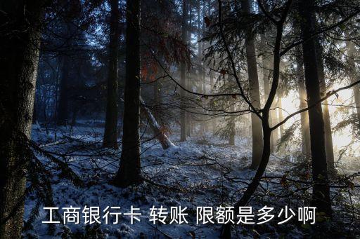 工行atm每日轉(zhuǎn)賬限額多少,工行一類卡atm機(jī)轉(zhuǎn)賬限額