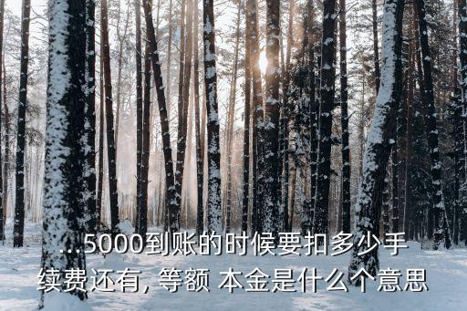 ...5000到賬的時候要扣多少手續(xù)費還有, 等額 本金是什么個意思