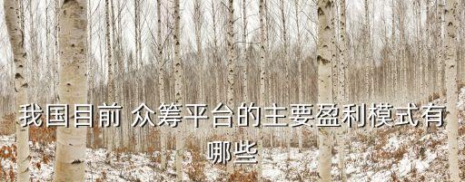 眾籌回報投多少錢,10萬投基金多少回報